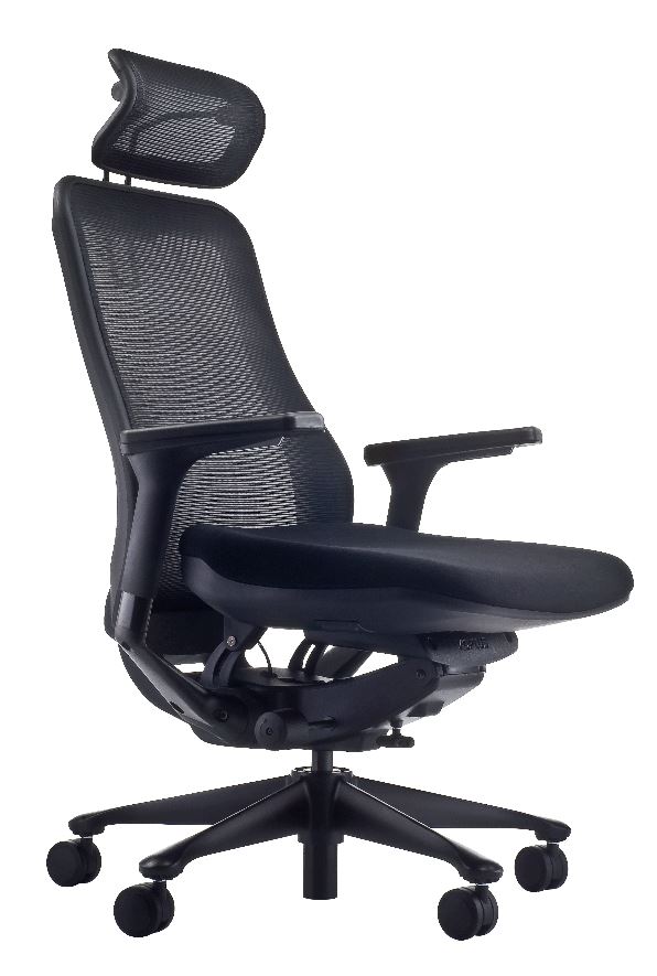 Image of 300413977044